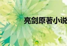 亮劍原著小說（亮劍小說簡介）