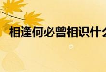 相逢何必曾相識什么意思（怎么接下一句）