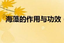 海藻的作用與功效（海藻有何作用與功效）