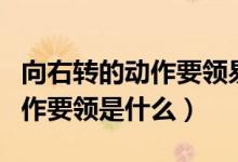 向右轉的動作要領易錯的是什么（向右轉的動作要領是什么）
