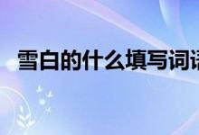 雪白的什么填寫詞語(yǔ)（雪白的什么填詞語(yǔ)）