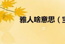雅人啥意思（寶雅人和什么意思）