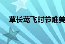 草長鶯飛時節(jié)唯美句子（草長鶯飛時節(jié)）