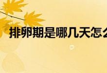 排卵期是哪幾天怎么算（排卵期計(jì)算方法）