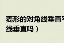 菱形的對角線垂直平分什么意思（菱形的對角線垂直嗎）