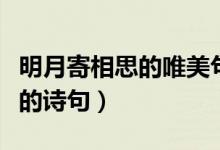 明月寄相思的唯美句子（男女表示明月寄相思的詩句）
