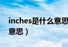 inches是什么意思中文翻譯（inches是什么意思）