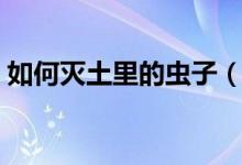 如何滅土里的蟲子（如何殺死土里的蠐螬蟲）