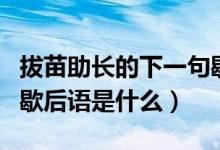 拔苗助長的下一句歇后語（拔苗助長的下一句歇后語是什么）