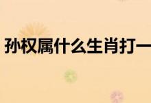 孫權(quán)屬什么生肖打一生肖（孫權(quán)屬什么生肖）