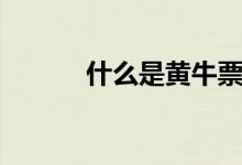 什么是黃牛票(什么是黃牛票)