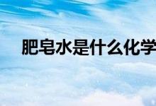肥皂水是什么化學成分（肥皂水是什么）