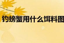 釣螃蟹用什么餌料圖片（釣螃蟹用什么餌料）