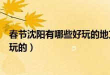 春節(jié)沈陽有哪些好玩的地方（冬季沈陽及沈陽周邊有什么好玩的）