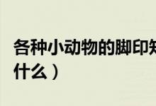 各種小動物的腳印知識（各種小動物的腳印像什么）