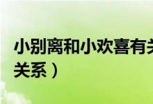 小別離和小歡喜有關聯(lián)嗎（小別離和小歡喜的關系）