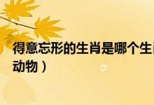 得意忘形的生肖是哪個(gè)生肖（得意忘形是十二生肖里的什么動(dòng)物）