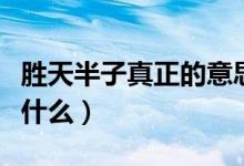 勝天半子真正的意思（勝天半子真正的意思是什么）