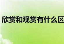 欣賞和觀賞有什么區(qū)別（欣賞和觀賞的區(qū)別）
