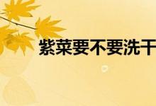 紫菜要不要洗干凈（紫菜要不要洗）