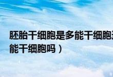 胚胎干細(xì)胞是多能干細(xì)胞還是專能干細(xì)胞（胚胎干細(xì)胞是多能干細(xì)胞嗎）