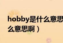 hobby是什么意思翻譯成英語(hobby是什么意思?。?class=