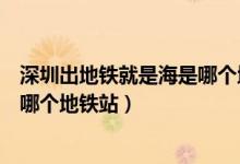 深圳出地鐵就是海是哪個(gè)地鐵站路線（深圳出地鐵就是海是哪個(gè)地鐵站）