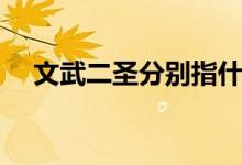 文武二圣分別指什么（文武二圣是什么）