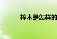 梓木是怎樣的（梓木是什么木）