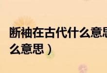 斷袖在古代什么意思(古代中的斷袖指的是什么意思)