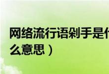 網(wǎng)絡(luò)流行語剁手是什么（網(wǎng)絡(luò)流行語剁手是什么意思）