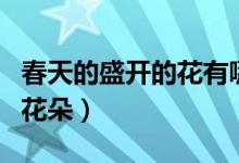 春天的盛開的花有哪些（常見的盛開在春天的花朵）