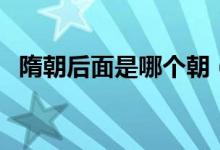 隋朝后面是哪個朝（隋朝后面是哪個朝代）