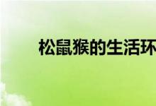 松鼠猴的生活環(huán)境（松鼠猴的特點）