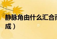 靜脈角由什么匯合而成（靜脈角由什么匯合而成）