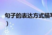 句子的表達(dá)方式描寫（句子的表達(dá)方式有幾種）