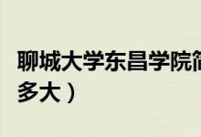 聊城大學(xué)東昌學(xué)院簡(jiǎn)介（聊城大學(xué)東昌學(xué)院有多大）