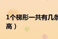 1個(gè)梯形一共有幾條高?（1個(gè)梯形一共有幾條高）