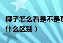 椰子怎么看是不是真爆（椰子仿真爆和真爆有什么區(qū)別）