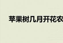 蘋果樹幾月開花農(nóng)歷（蘋果樹幾月開花）
