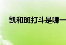 凱和斑打斗是哪一集（凱和斑打第幾集）