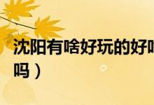 沈陽(yáng)有啥好玩的好吃的地方么（沈陽(yáng)有啥舞廳嗎）