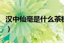 漢中仙毫是什么茶樹(shù)種類(lèi)（漢中仙毫是什么茶）