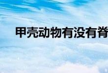 甲殼動物有沒有脊椎（甲殼動物有哪些）