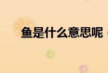 魚是什么意思呢（魚魚魚是什么意思）