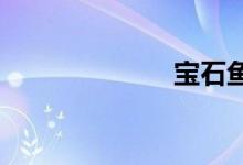 寶石魚是什么魚