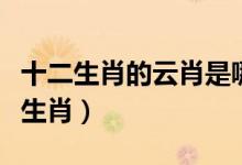 十二生肖的云肖是哪幾肖(云肖風(fēng)肖是哪幾個(gè)生肖)