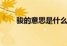 駿的意思是什么（駿的意思是什么）