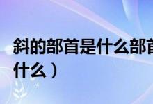 斜的部首是什么部首（斜的偏旁與部首分別是什么）