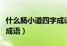 什么腸小道四字成語有哪些（什么腸小道四字成語）